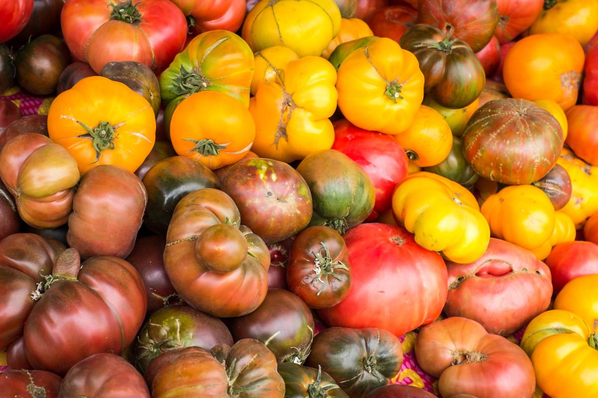 Heirloom Tomatoes .jpeg